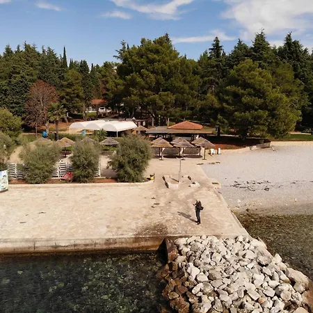 House Puseljic - 2. - A2+1 For Max 3 Pax With Own Tennis Court *